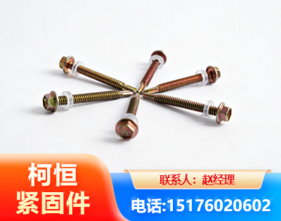 梅州六角钻尾丝